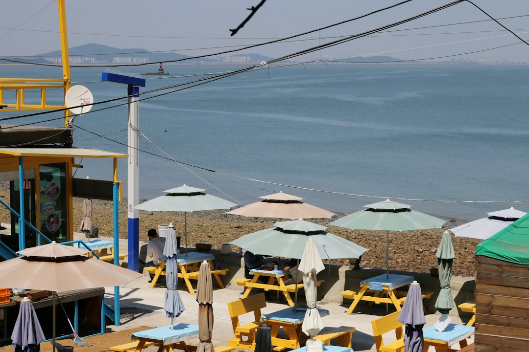 Beachside cafe scene for Gangneung Coffee Festival travel guide