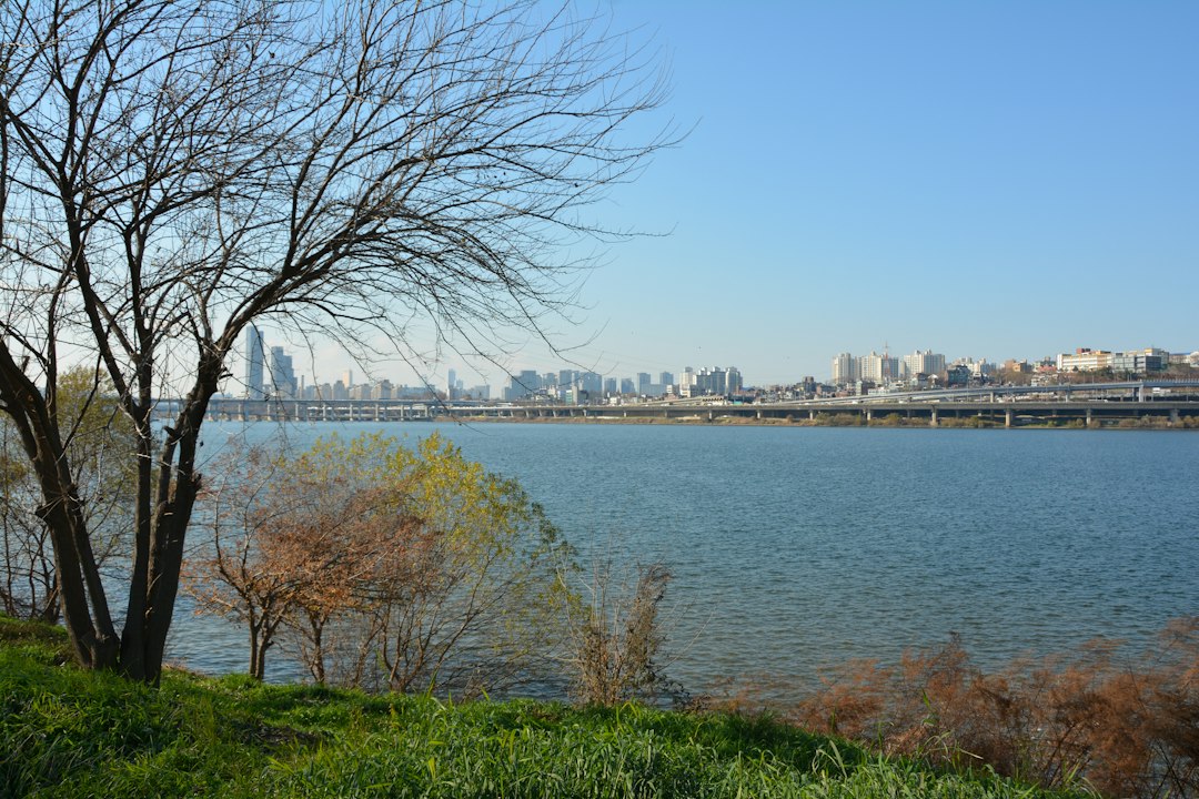Hangang River Festival Fall 2026 in Seoul with riverside autumn scenery