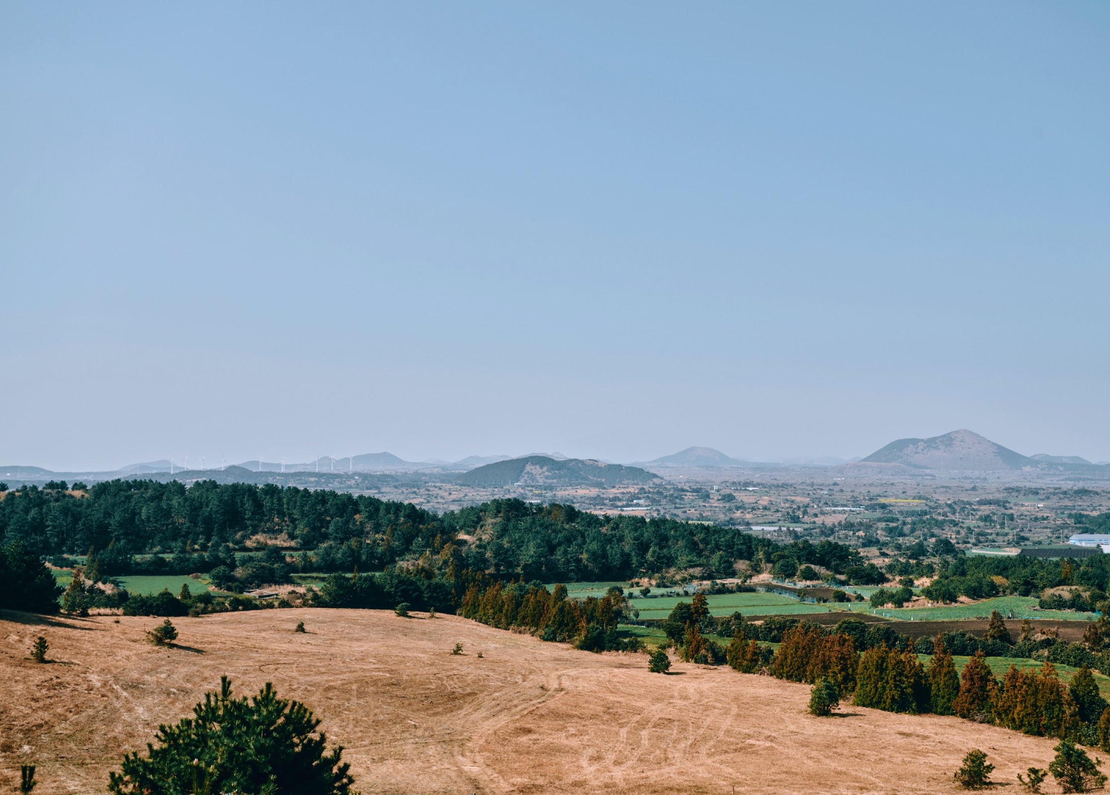 Volcanic cones seen from Jeju Olle Trail Route 01