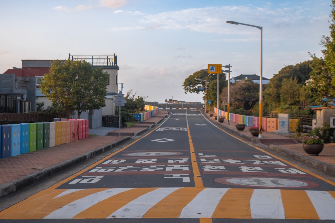Road markings and a pedestrian crossing on a road in Jeju