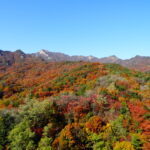 Bukhansan granite ridges above forested slopes in red, orange and yellow autumn color, seen from southern Seoul